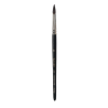 Pinceau aquarelle Petit Gris Dalbe 400