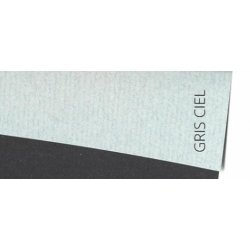 Feuille INGRES GRIS CIEL raisin 100g Canson
