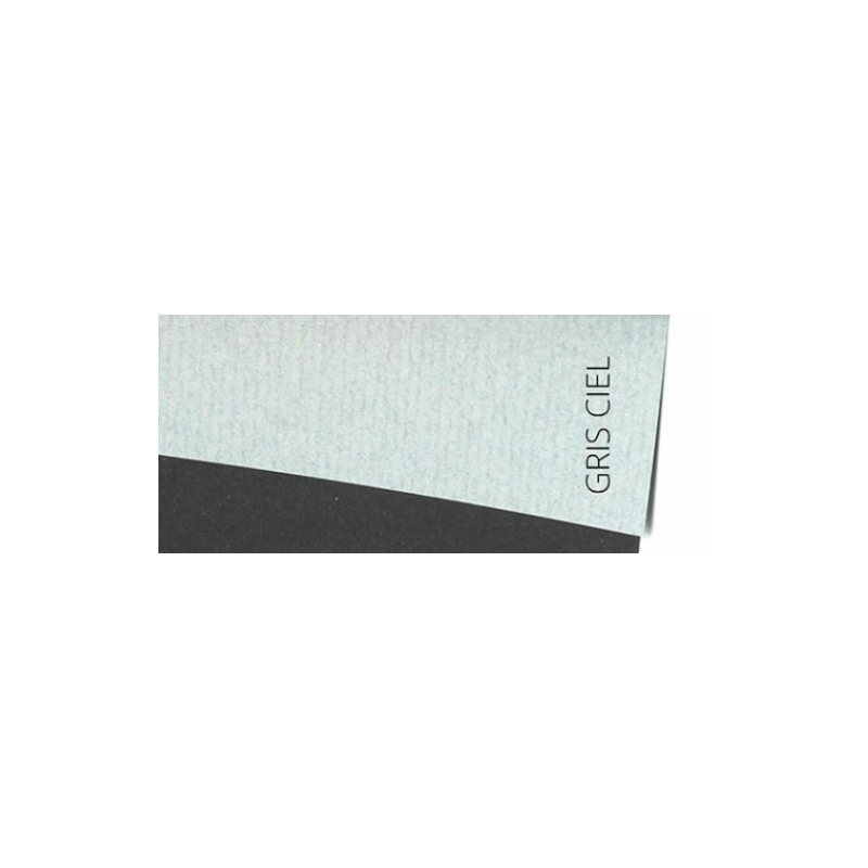 Feuille INGRES GRIS CIEL raisin 100g Canson