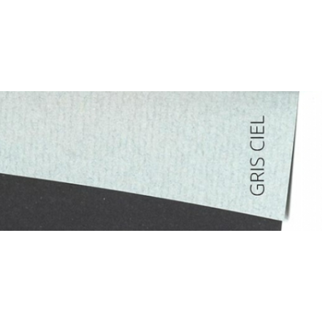 Feuille INGRES GRIS CIEL raisin 100g Canson