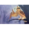 HORS CASES - Postale Hibou