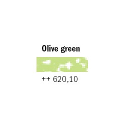 Pastel sec Rembrandt Vert olive 620.10