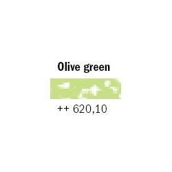 Pastel sec Rembrandt Vert olive 620,10